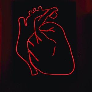 Meet your Posher, Duck